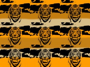 orange-tiger[1]