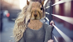 squirell-head-haha[1]